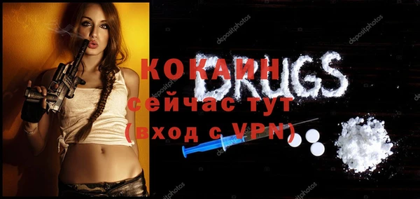 прущие грибы Балабаново