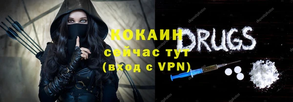 прущие грибы Балабаново