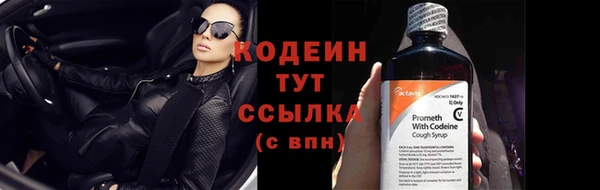 прущие грибы Балабаново