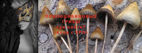 трава Балахна