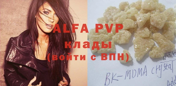 прущие грибы Балабаново