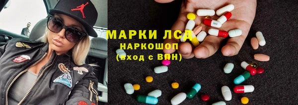 прущие грибы Балабаново