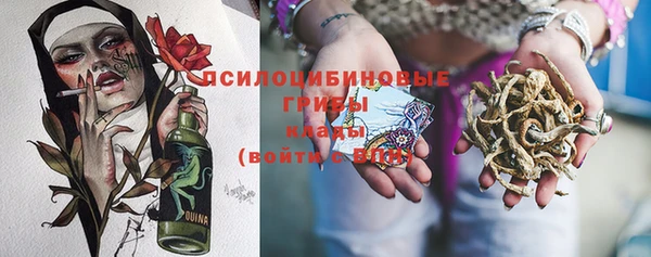 трава Балахна