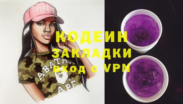 прущие грибы Балабаново