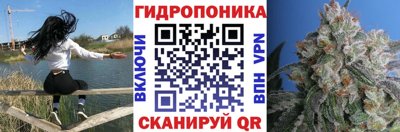 Бошки марихуана THC 21% Рассказово